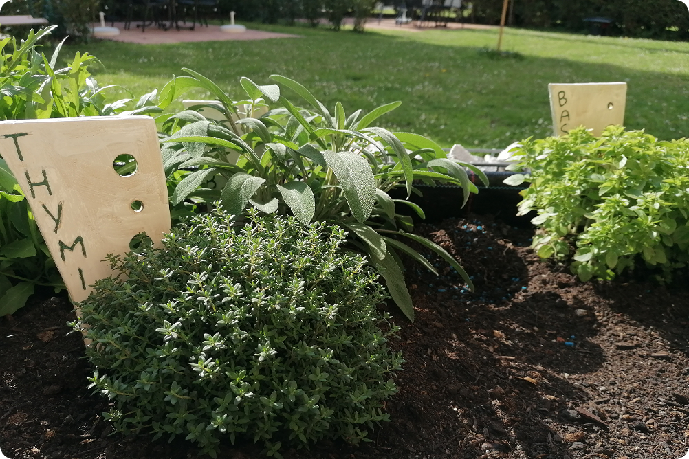 Сад с травами в Albizia Apartments