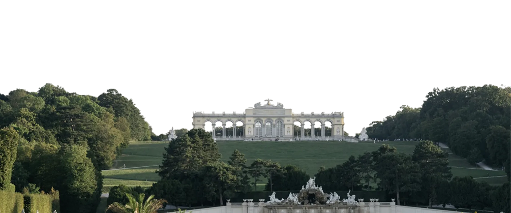 
								Поезд в Вену								